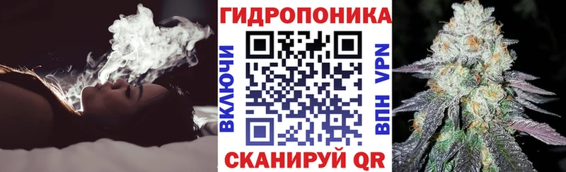 Бошки марихуана Ganja  Западная Двина 